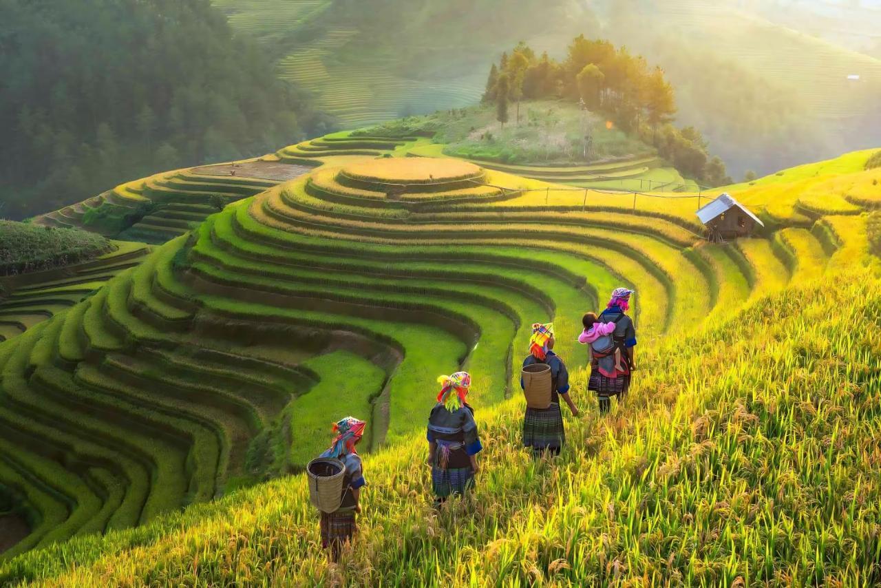 Central Sapa Charm Hotel ภายนอก รูปภาพ