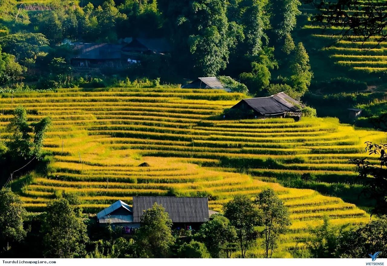 Central Sapa Charm Hotel ภายนอก รูปภาพ